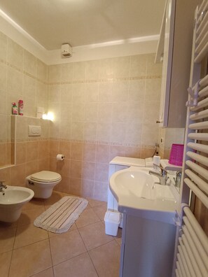 Shower, hair dryer, bidet, towels