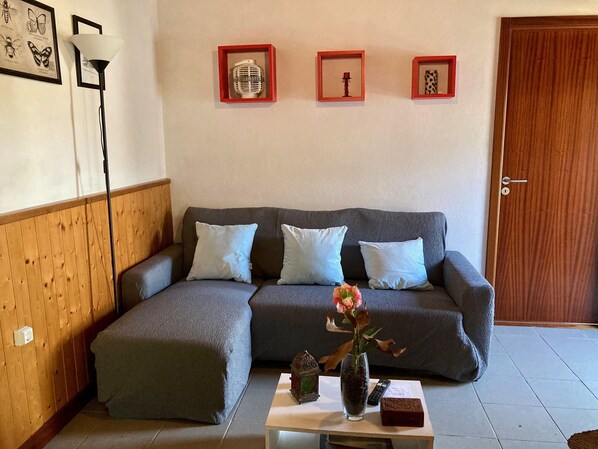 TV, fireplace, books - Holiday house in the countryside (Ponte de Lima)