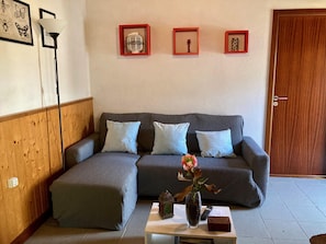 TV, fireplace, books