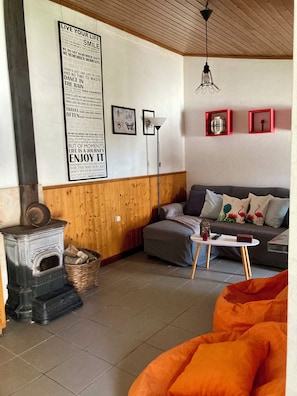 TV, fireplace, books