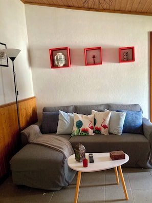 TV, fireplace, books