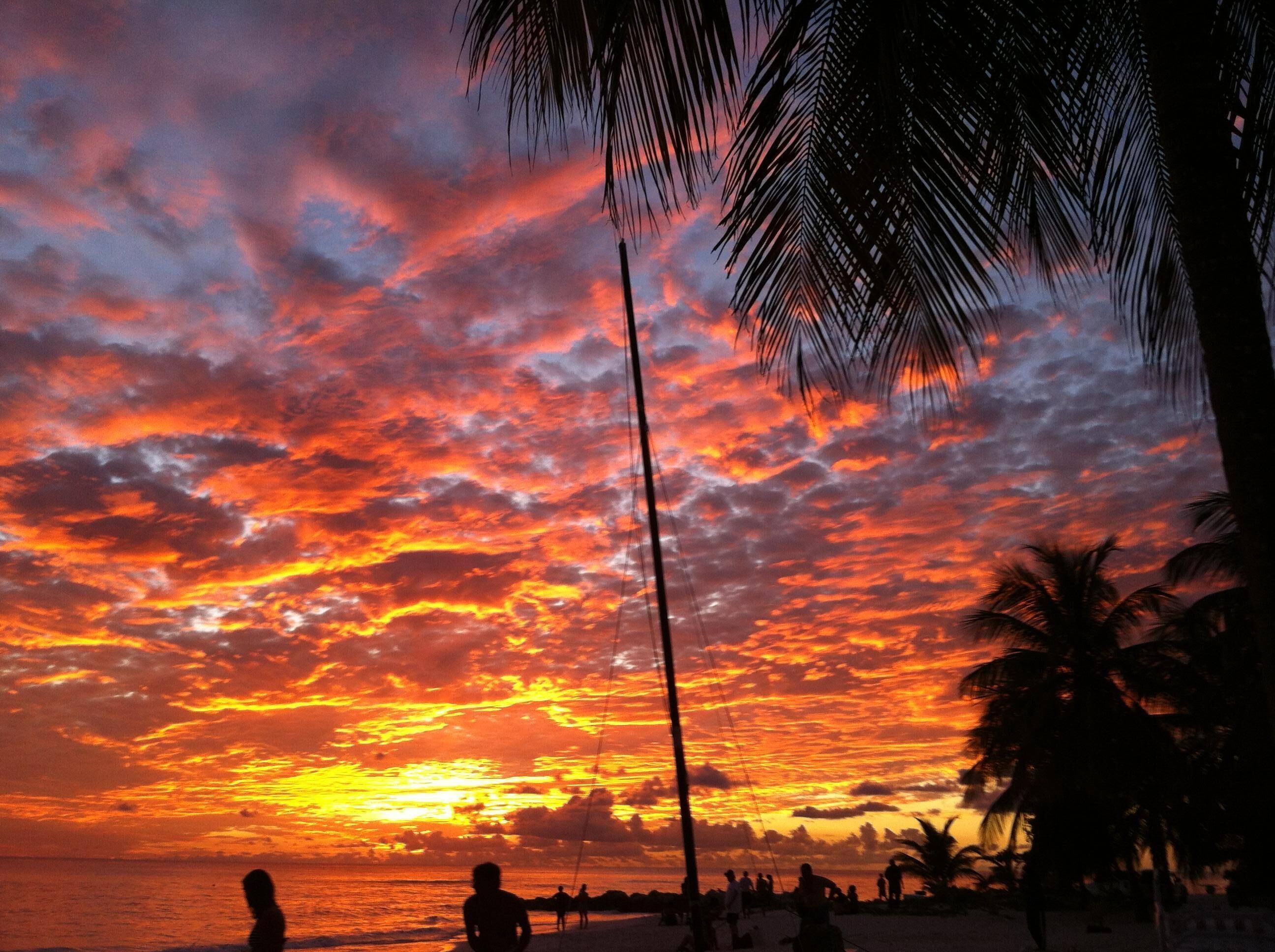 A sunset over a beach with palm trees and people in the distance.