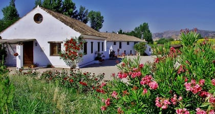 NEW LISTING: maintenant ouvert pour les réservations de 2018. Immense piscine prÚs de Ronda