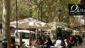 An outdoor cafe with tables and chairs under umbrellas, surrounded by trees and parked cars. - Fast-E WiFi/On-St parking/Metro Hub @290m/Cafe Society Enclave. (Valencia)