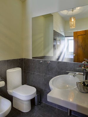 Combined shower/bathtub, hair dryer