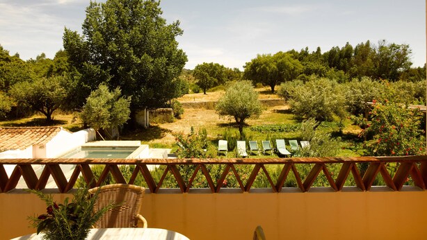 Una terraza con vistas a olivos y una piscina.