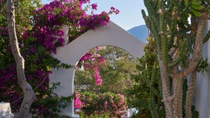 Una estructura blanca en arco cubierta de enredaderas de buganvilla rosadas, rodeada de follaje y cactus.