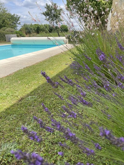 1830's Village Farmhouse - Shared Pool, Games Barn, Leisure Field. Beach 30 mins