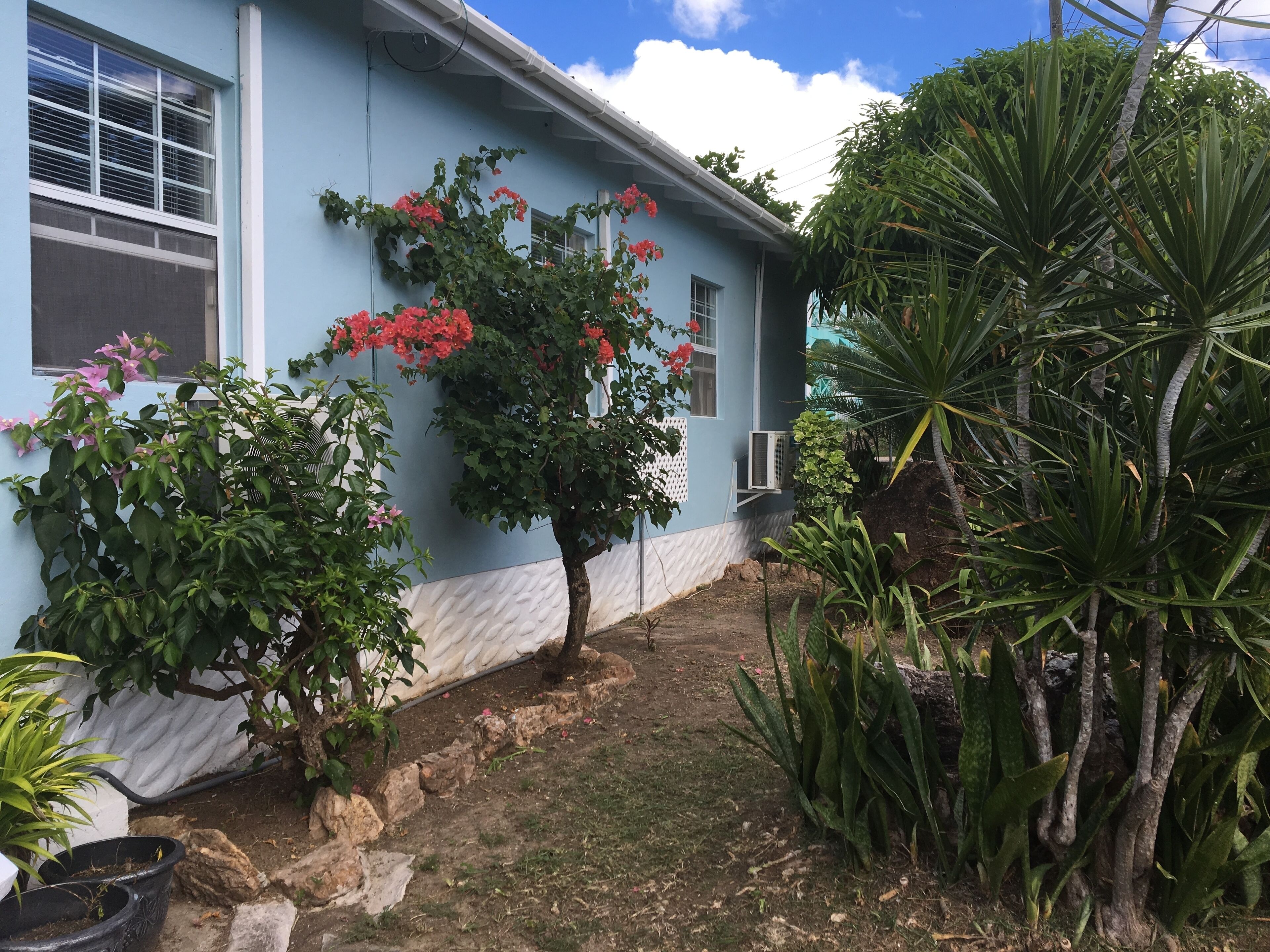 Una casa con fachada azul, un pequeño jardín con diversas plantas y un cielo despejado.