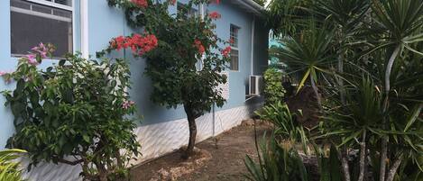 Una casa con fachada azul, un pequeño jardín con diversas plantas y un cielo despejado.