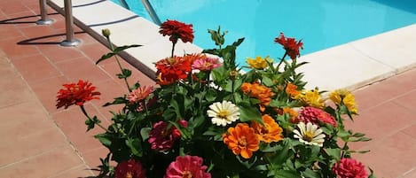 Piscina all'aperto