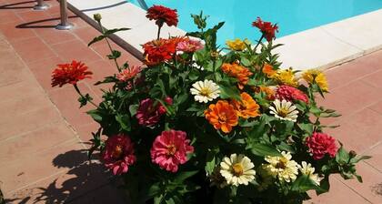 Basse Di Caldana: Villa with pool - Basse di Caldana Tuscany