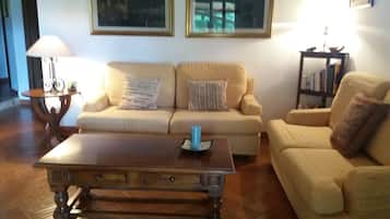 Smart TV, chimenea, reproductor de DVD y estéreo