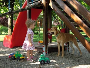A playground with a slide, a climbing structure, and a dog.
