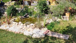 Una casa amarilla con una ventana, rodeada por un jardín con un estanque y diversas plantas.