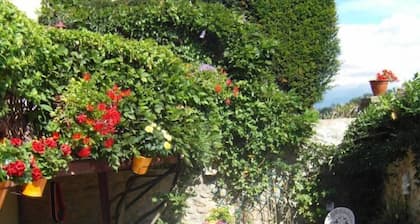 Charming studios in Touraine