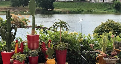 Charming studios in Touraine