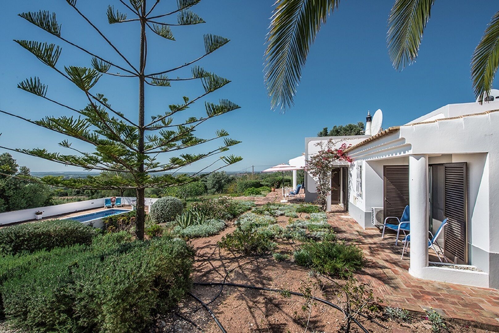 Une villa blanche avec une piscine, entourée d’une végétation luxuriante et de palmiers.