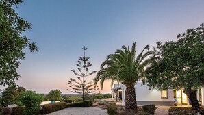 A well-maintained garden with a gravel pathway leading to a building with a white facade and a palm tree. - Villa Susana ~ Heated Pool* ~ Fast Wi-fi ~ 6 + 4 cots - Booking 2027 & 2028 NOW! (Sao Bartolomeu de Messines)