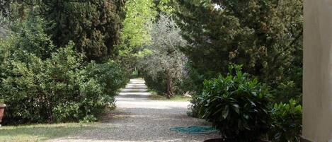 Áreas de la propiedad