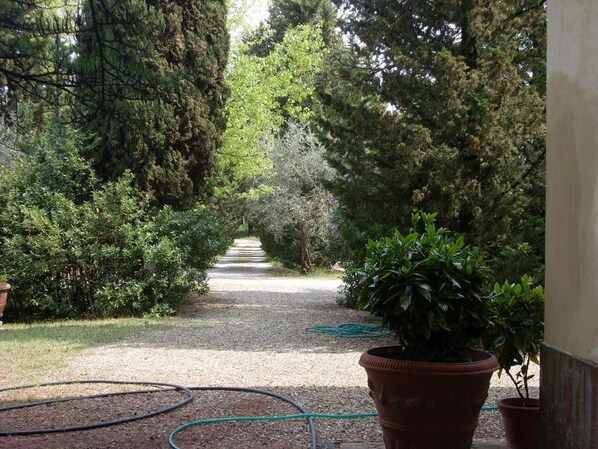 Property grounds