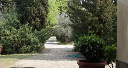 App. Laura B&B in ancient Villa, wifi and parking, meals and services available