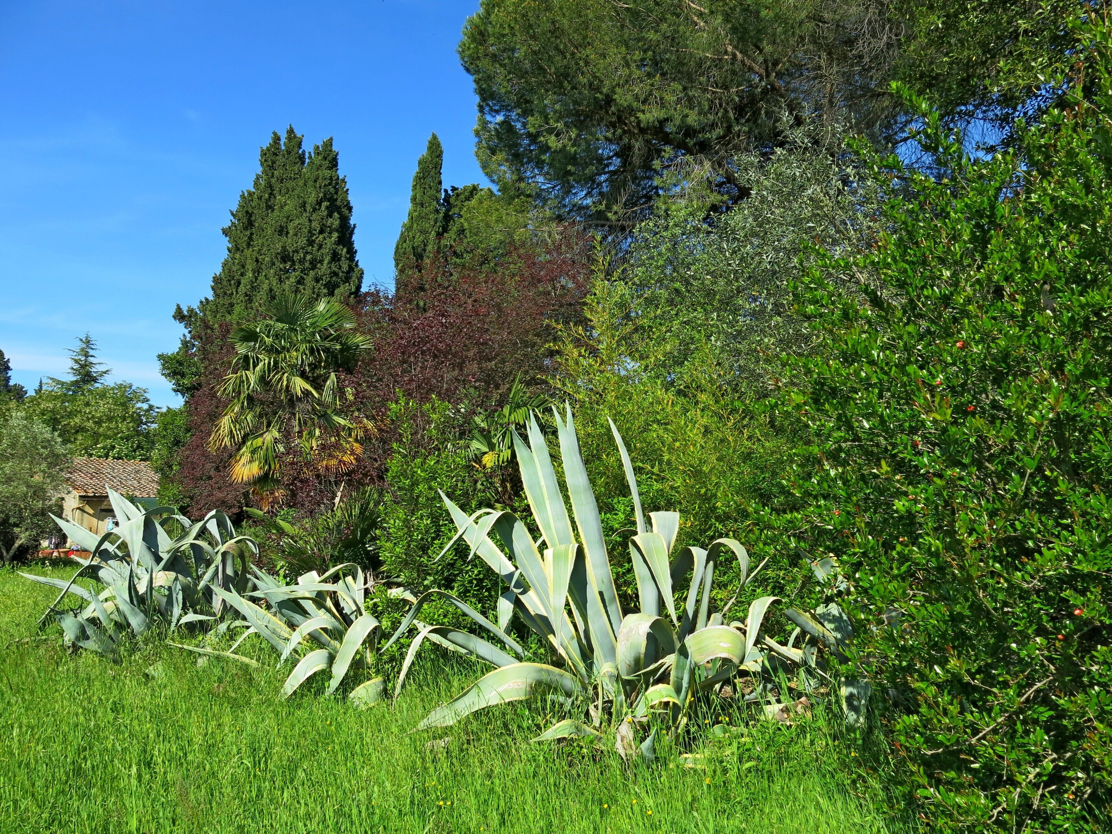 Áreas de la propiedad