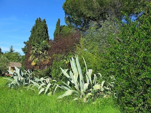 App. Laura B&B in ancient Villa, wifi and parking, meals and services available