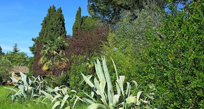 App. Laura B&B in ancient Villa, wifi and parking, meals and services available