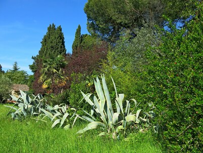 App. Laura B&B in ancient Villa, wifi and parking, meals and services available