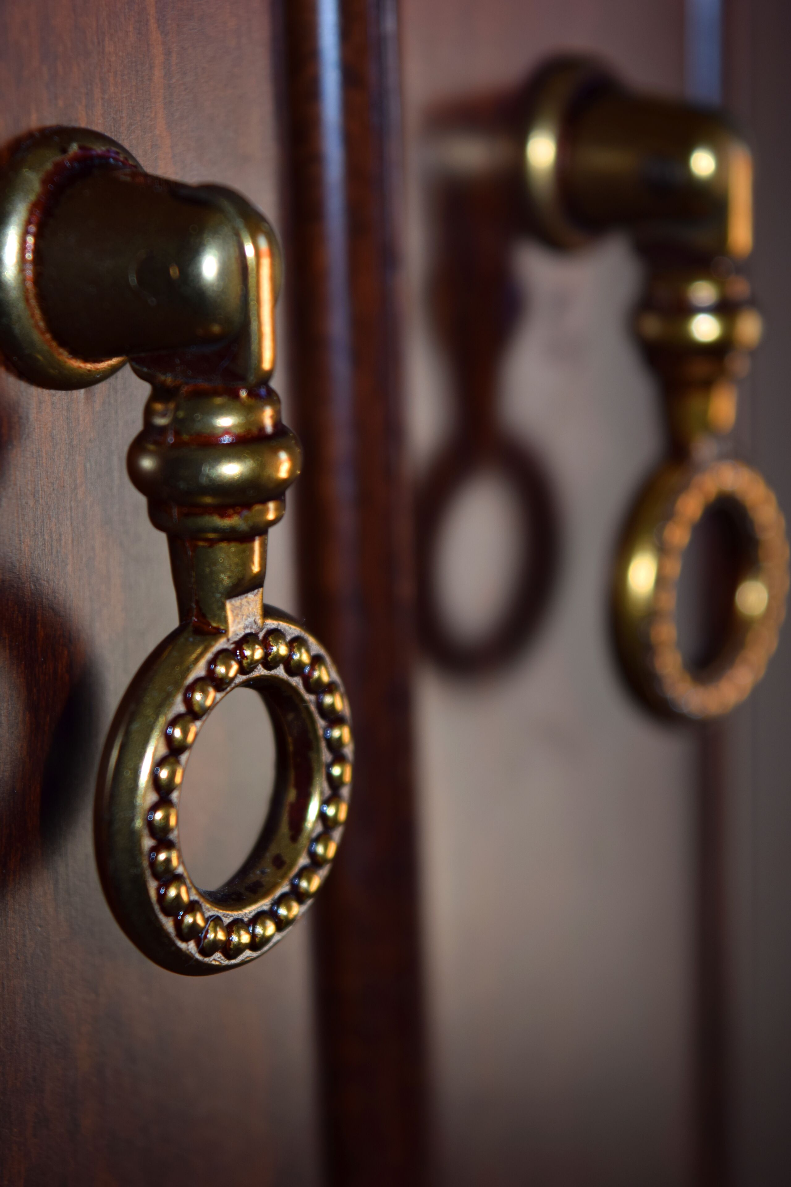 A close-up of a brass door knocker with a circular handle.