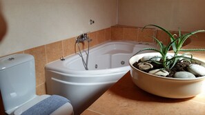 Combined shower/bathtub, jetted bath, hair dryer, towels