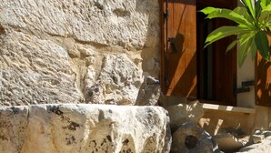 A stone wall with a wooden door and a potted plant.