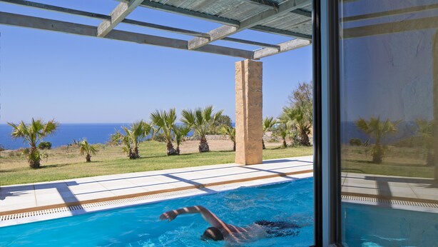 Ein Pool mit Blick auf den Ozean, Palmen und einen klaren Himmel.