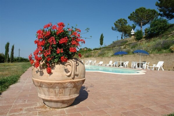 Un grand pot en terre cuite orné de fleurs rouges, une piscine et des chaises longues blanches.