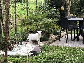 Udendørs spisemuligheder