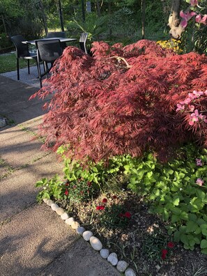 Udendørs spisemuligheder