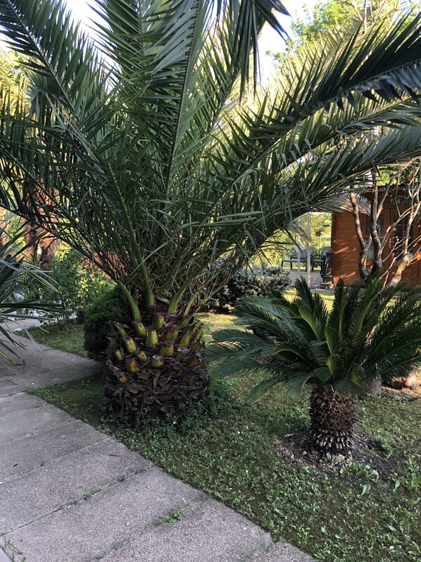 Overnatningsstedets område