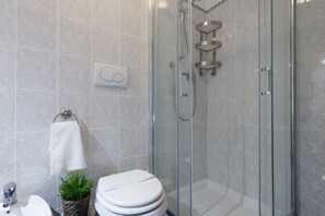 Shower, hair dryer, bidet, towels