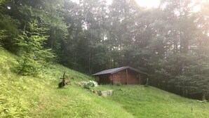 Mökki sijaitsee metsäisellä alueella, ja sen lähellä on ruohikkoon peittynyt rinne.