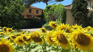 A garden with sunflowers and a building with a tiled roof. - Buon Riposo - Farmhouse in the heart of  Tuscany, two bedrooms house - free wifi (MONTAIONE)