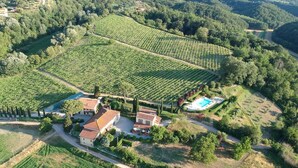 An aerial view of a vineyard with neatly arranged rows of grapevines, a swimming pool, and several buildings with red-tiled roofs. - Buon Riposo - Farmhouse in the heart of  Tuscany, two bedrooms house - free wifi (MONTAIONE)