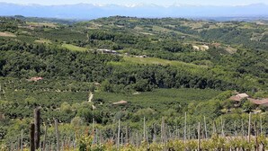 Un paysage de vignoble avec des rangées de vignes, des bâtiments dispersés et, au loin, des montagnes aux sommets enneigés.