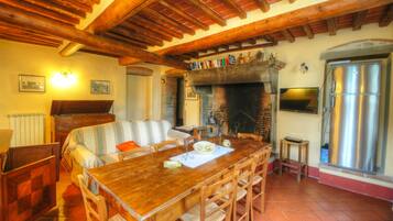 Télévision, cheminée, livres, chaîne hi-fi