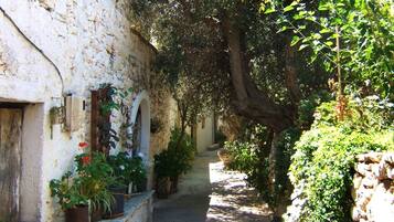 Área da propriedade