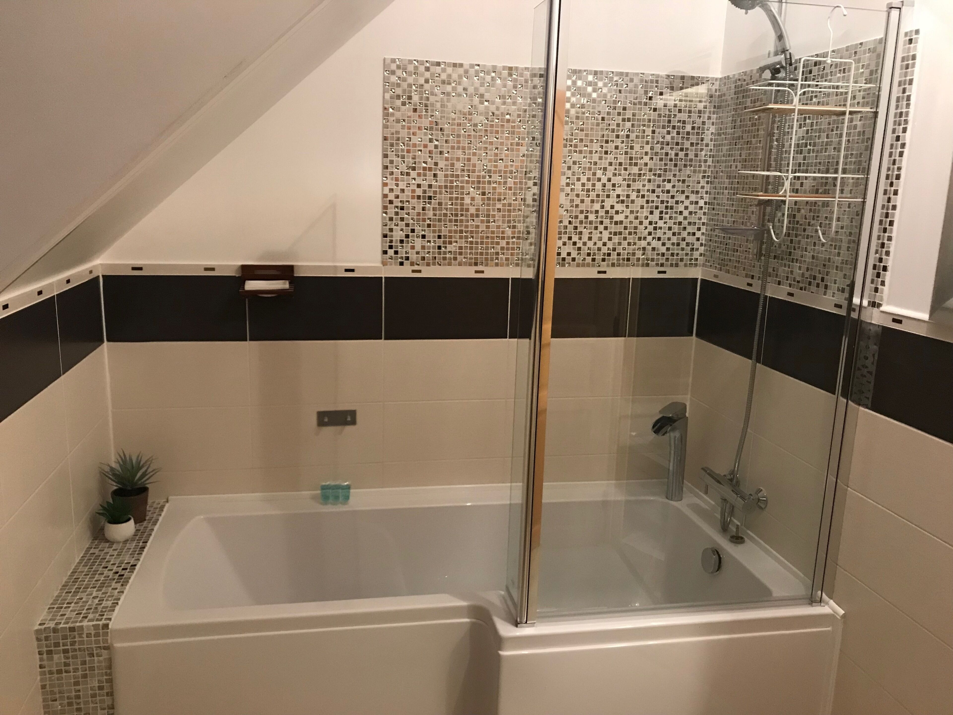 Combined shower/tub, hair dryer, towels, soap