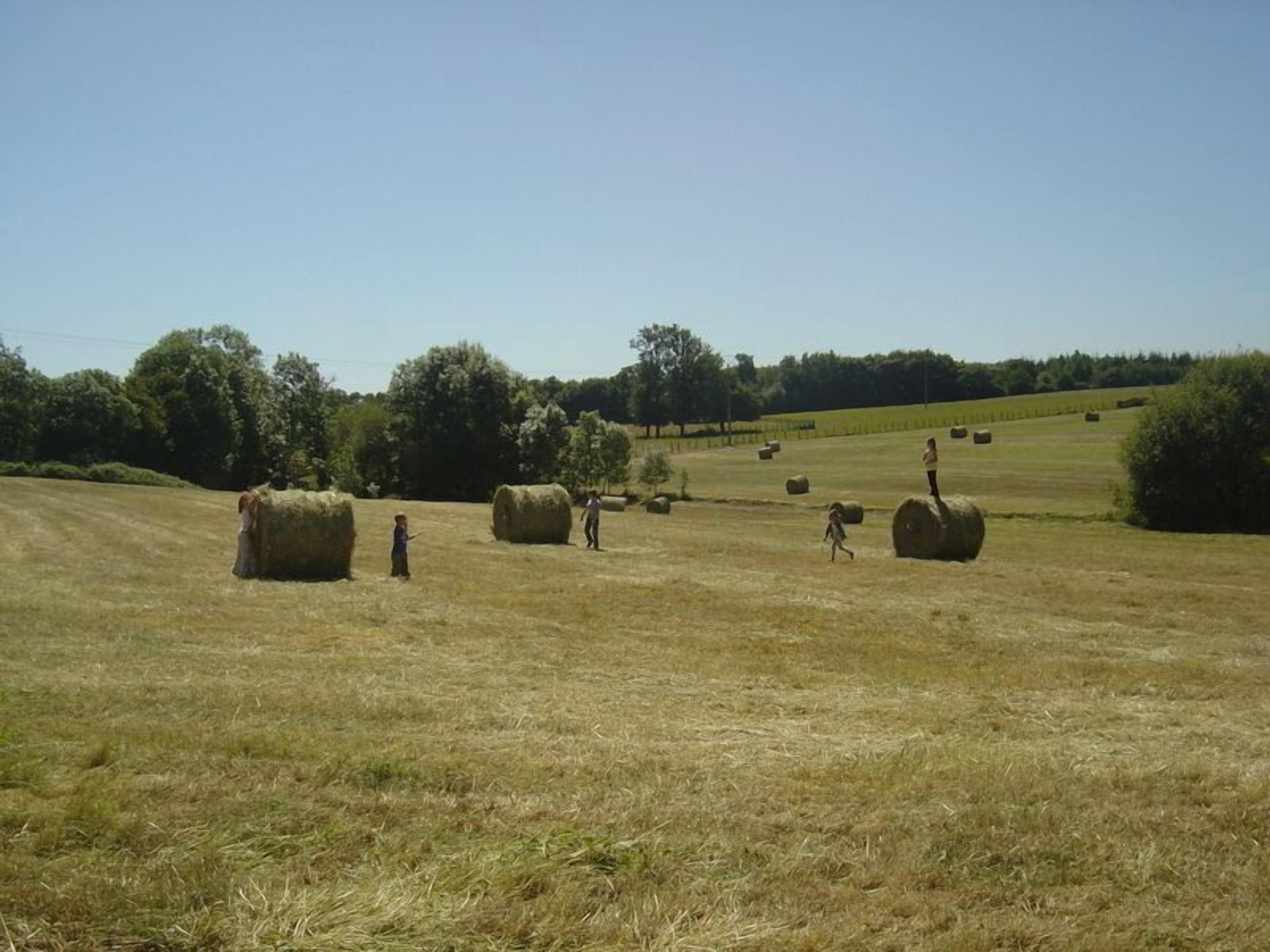 Un paysage rural avec des bottes de foin et des arbres.