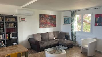 Smart TV, lareira, livros, biblioteca musical