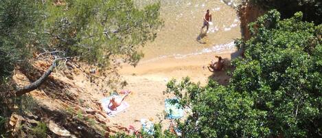 Plage, chaises longues
