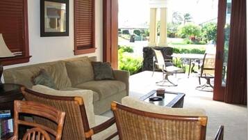 Smart TV, DVD player, books, stereo